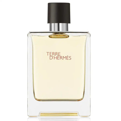 Hermes Terre D'hermes (Edt) - 100ml
