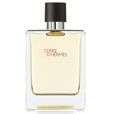 Hermes Terre D'hermes (Edt) - 100ml - Smile Perfumes